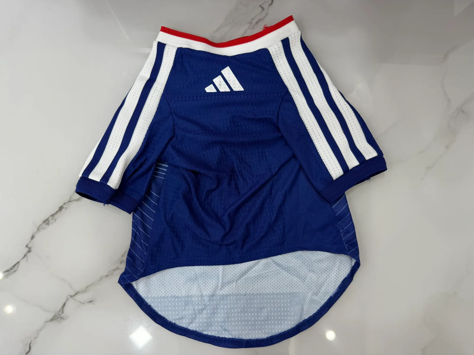 Dog & Cat - 2026 Japan Home Football Jersey - Image 3