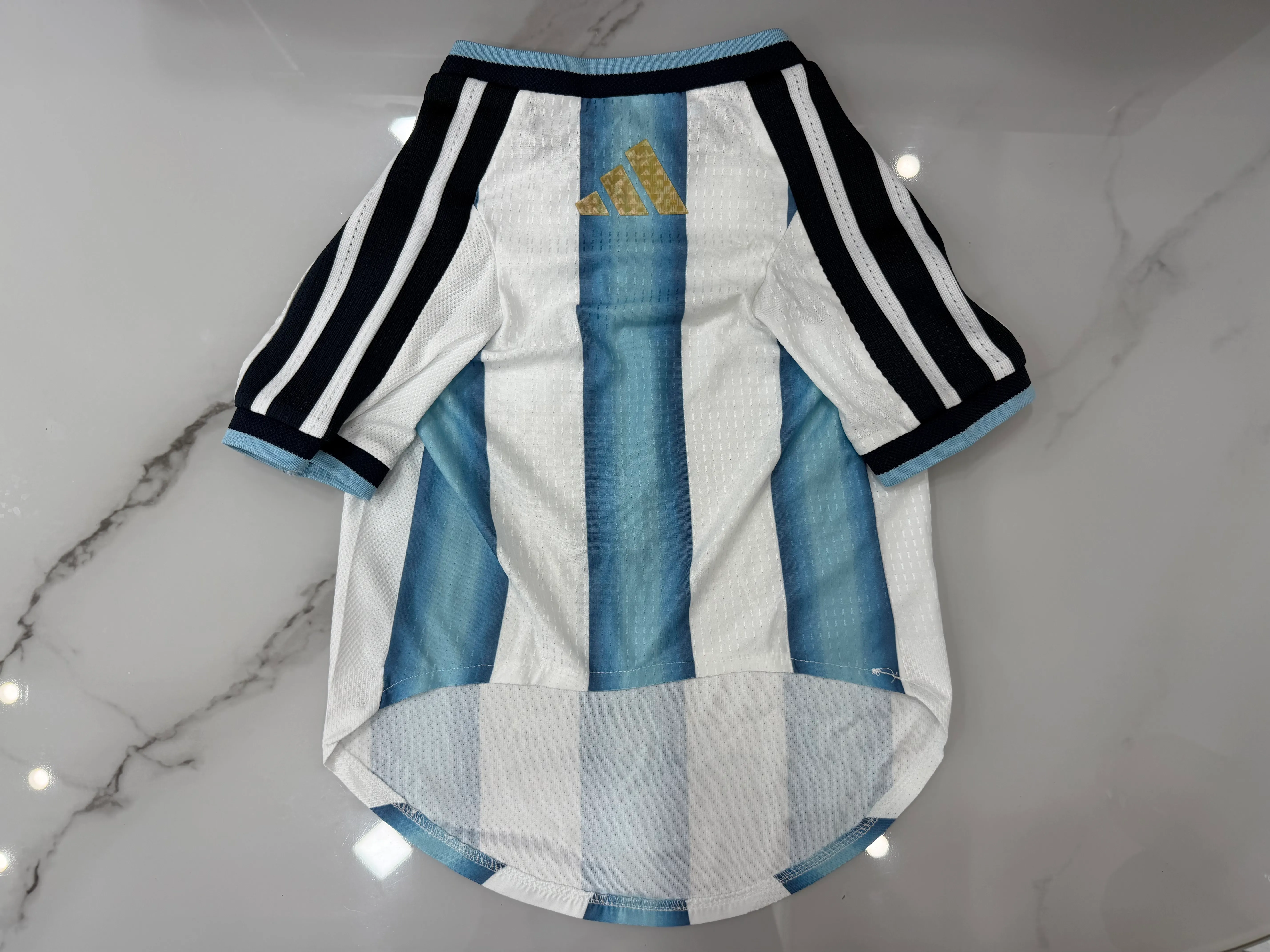 Dog & Cat - 2026 Argentina Home Football Jersey - Image 2