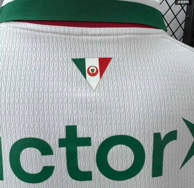 2026/2027 Version joueur Palmeiras Extérieur Maillot de football Qualité thaï 1:1 – Image 12