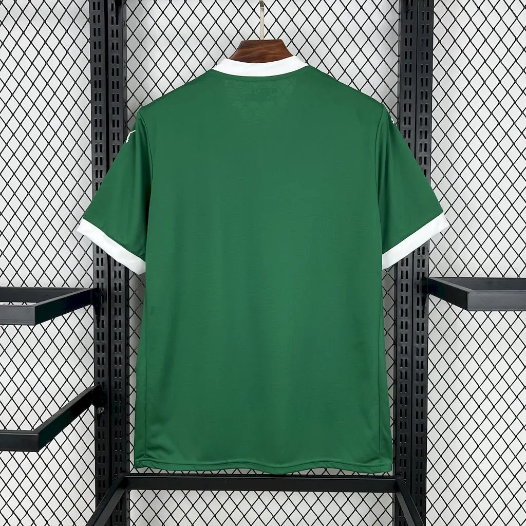 2025/2026 Palmeiras Home 01 Football Jersey 1:1 Thai Quality - Image 3