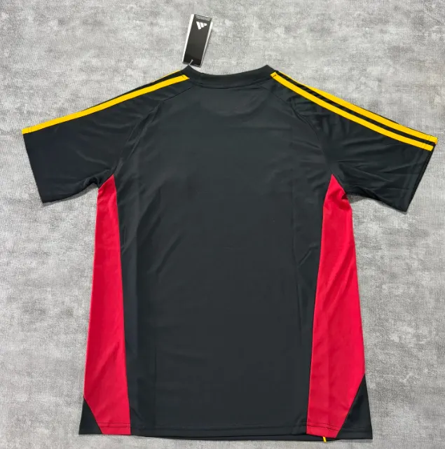 2025/2026 Roma Edizione speciale Maglia da calcio Qualità thai 1:1 - immagine 2