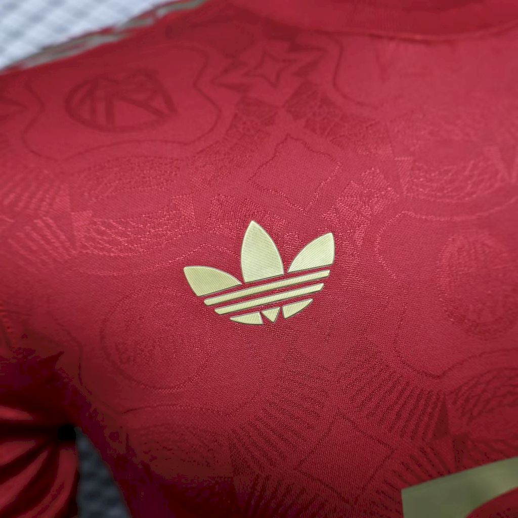 2025/2026 Player Version Bayern Munich 125th Anniversary Football Jersey 1:1 Thai quality - Image 4