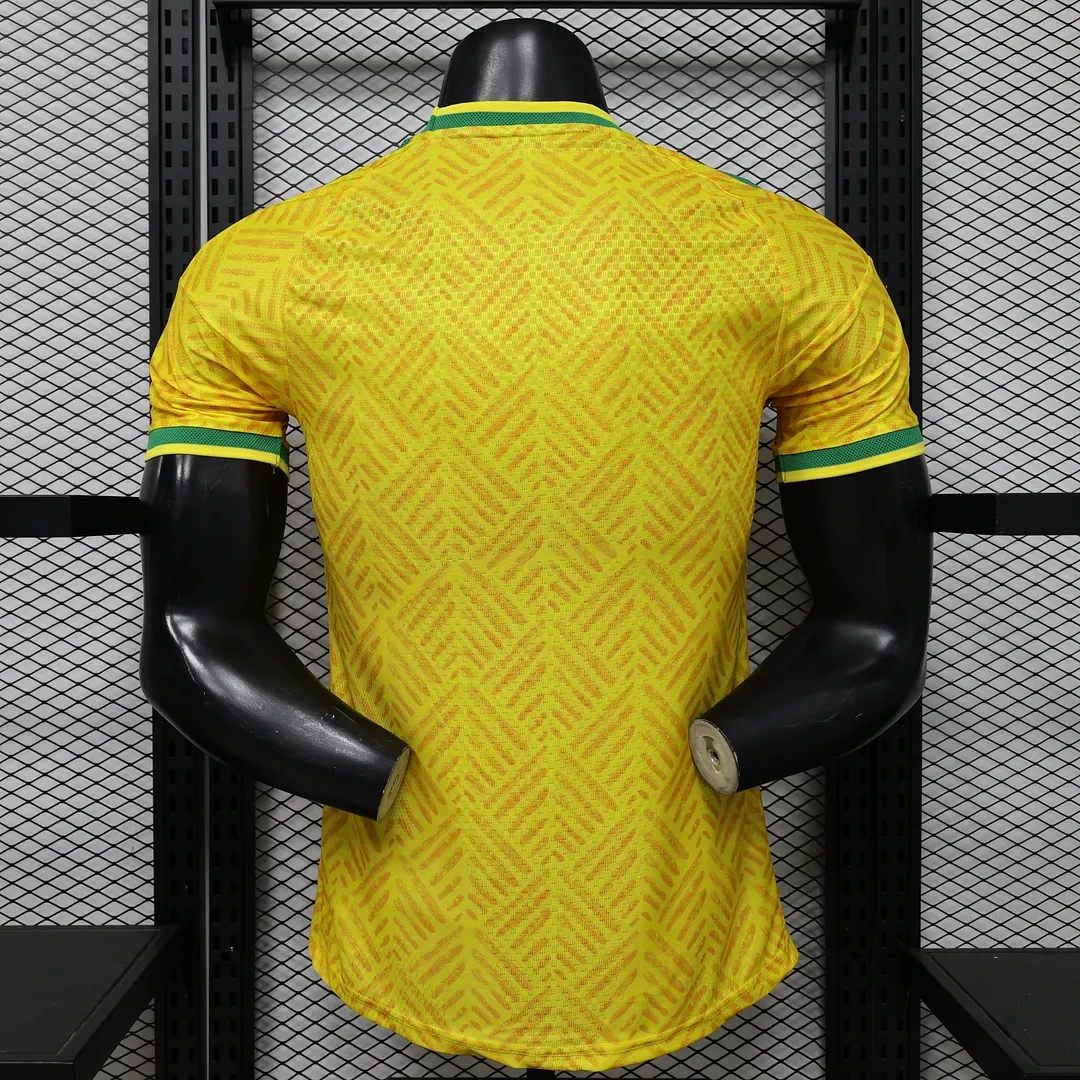 2026 Version joueur Afrique du Sud Domicile Maillot de football Qualité thaï 1:1 – Image 2