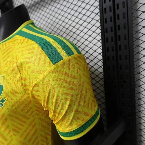 2026 Version joueur Afrique du Sud Domicile Maillot de football Qualité thaï 1:1 – Image 7