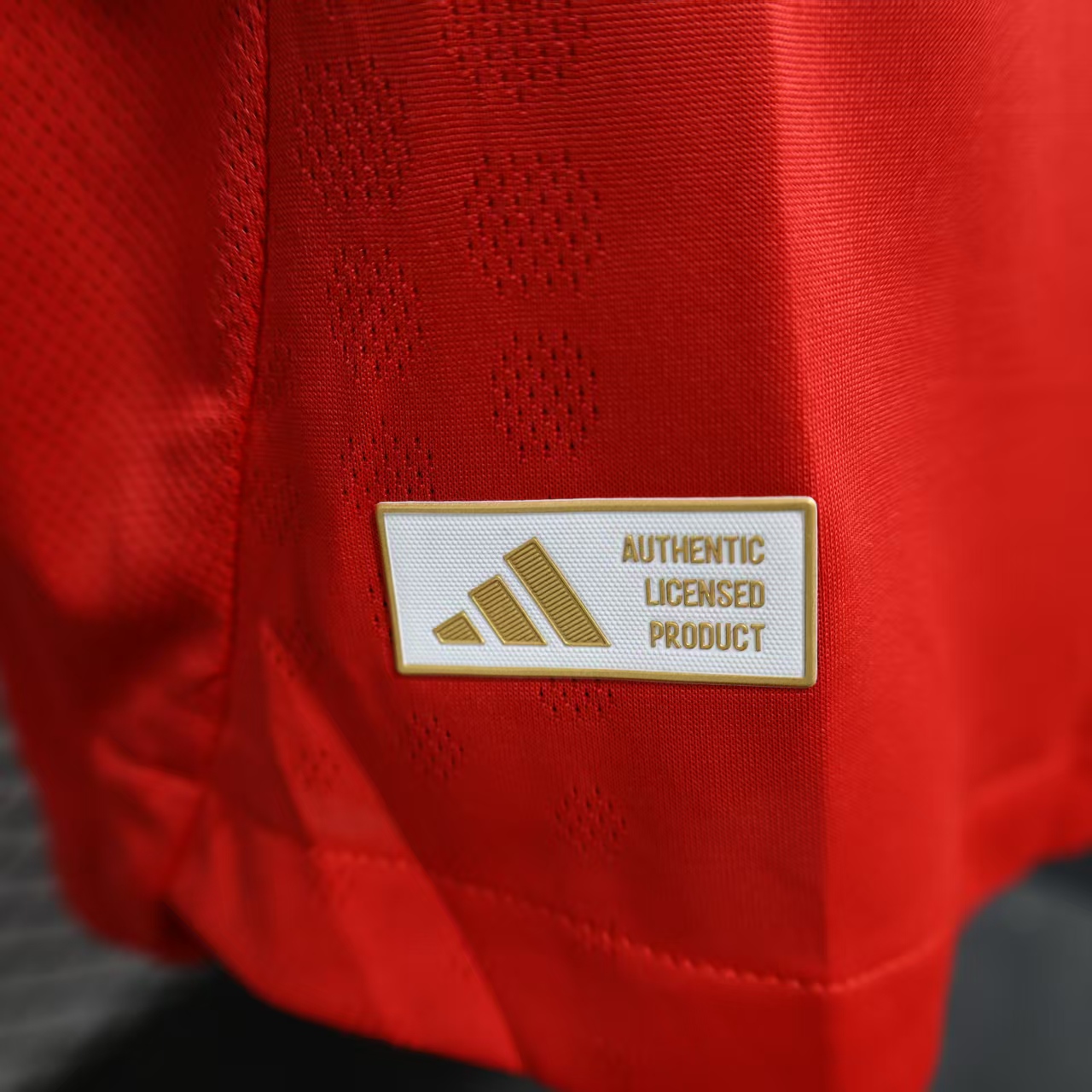 2025/2026 Version joueur Benfica Domicile Maillot de football Qualité thaï 1:1 – Image 10