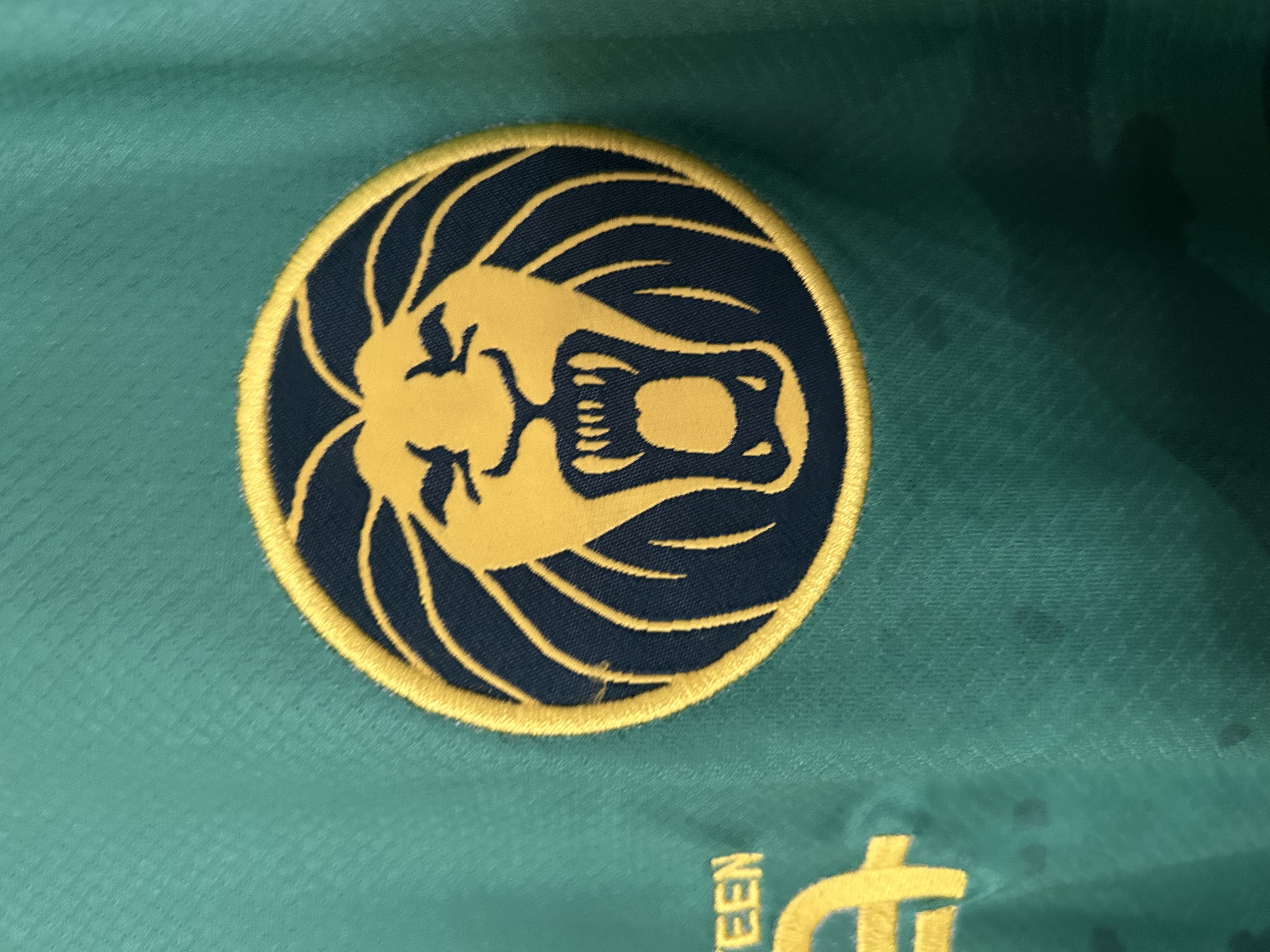 2025/2026 Cameroon Home Football Shirt 1:1 Thai Quality - Image 6