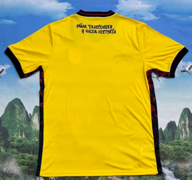 2026 Équateur Équipe nationale Domicile Maillot de football Qualité thaï 1:1 – Image 2