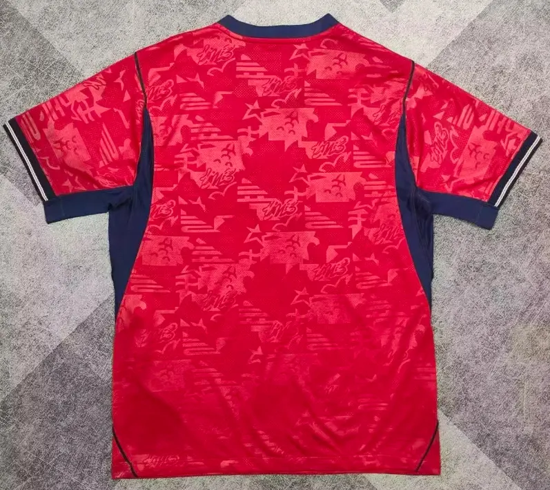 2026 Inghilterra Trasferta Maglia da calcio Qualità thai 1:1 - immagine 2