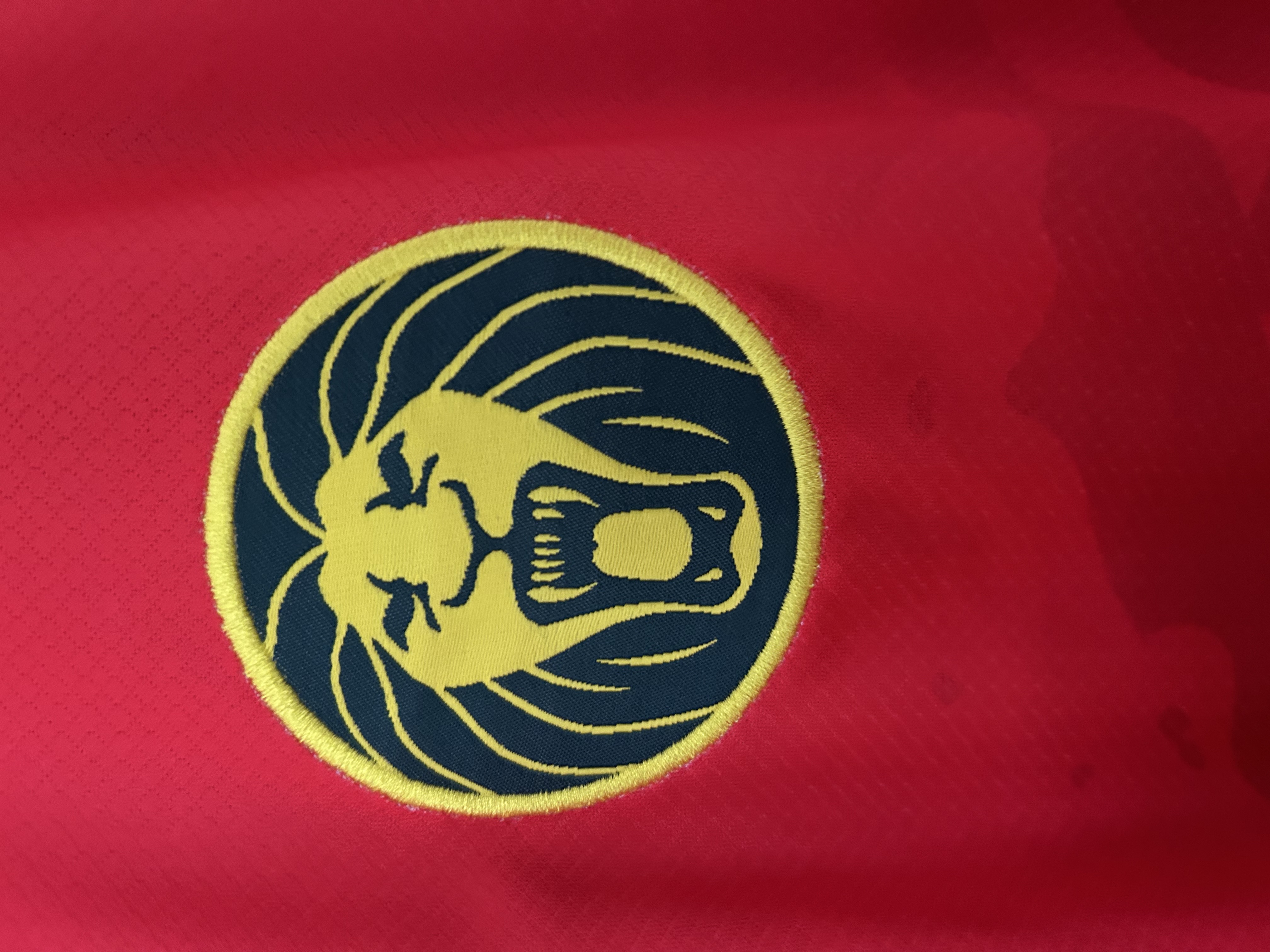 2025/2026 Kamerun Auswärts Fußballtrikot 1:1 Thai-Qualität – Bild 6