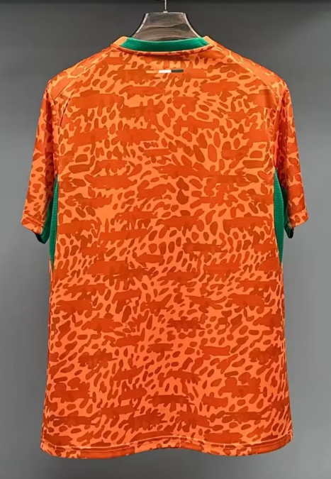 2026 Côte d'Ivoire Équipe nationale Domicile Maillot de football Qualité thaï 1:1 – Image 2