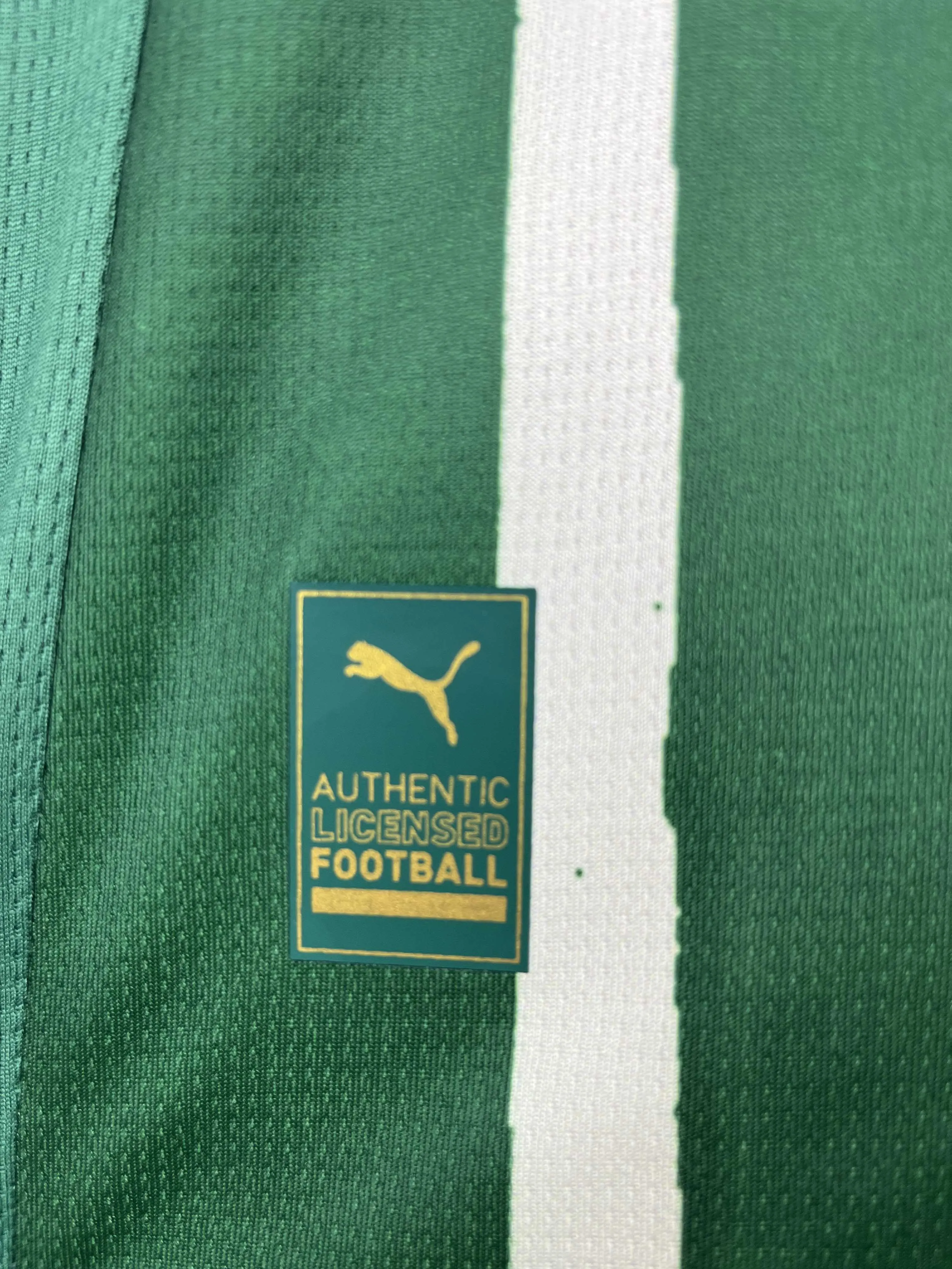 2025/2026 Palmeiras Home Football Jersey 1:1 Thai Quality - Image 6
