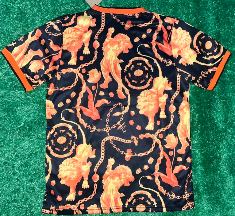 2026 Paesi Bassi Nazionale Edizione speciale 02 Maglia da calcio Qualità thai 1:1 - immagine 2
