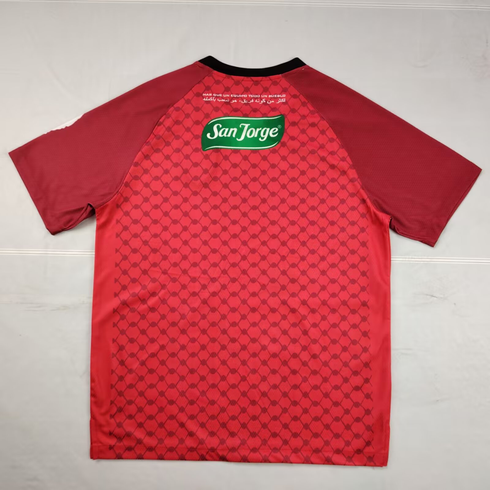 2025/2026 Palestino Edizione speciale 02 Maglia da calcio Qualità thai 1:1 - immagine 2