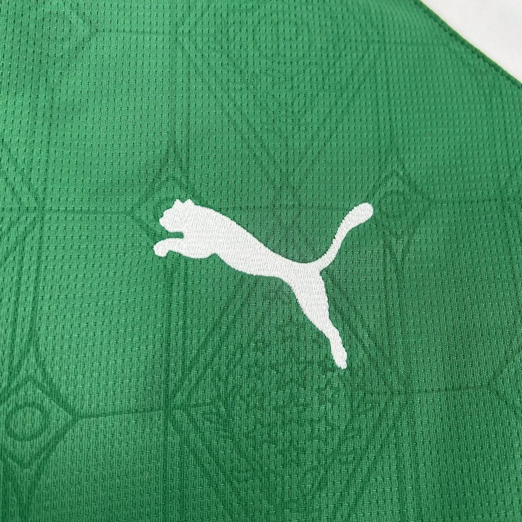 2025/2026 Palmeiras Home 01 Football Jersey 1:1 Thai Quality - Image 5