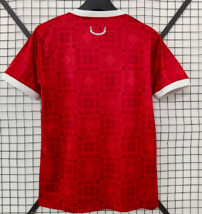 2026/2027 Pays de Galles Domicile Maillot de football Qualité thaï 1:1 – Image 2